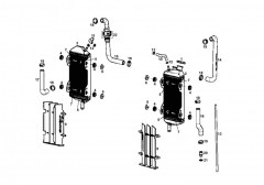 ec-replica-giullaume-2012-250cc-radiateur.jpg